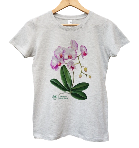 Storczyk falenopsis — koszulka damska