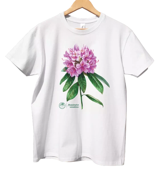 Różanecznik katawbijski — koszulka dla dziecka