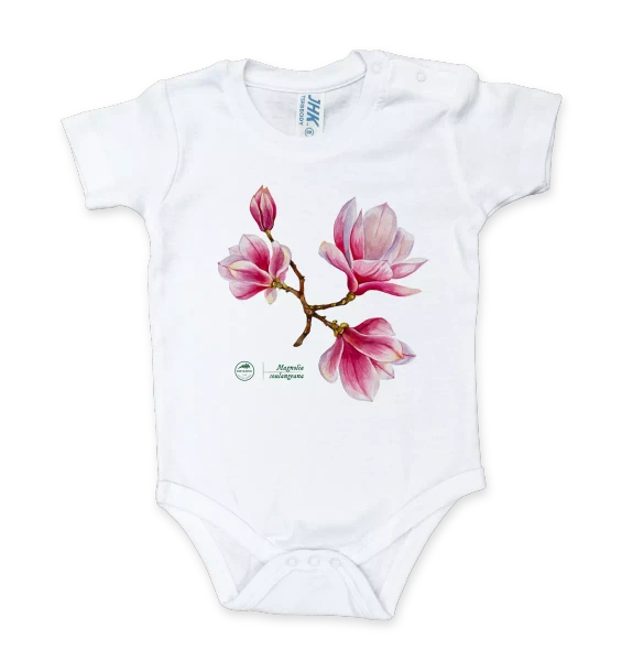 Magnolia pośrednia — body dla niemowlaka